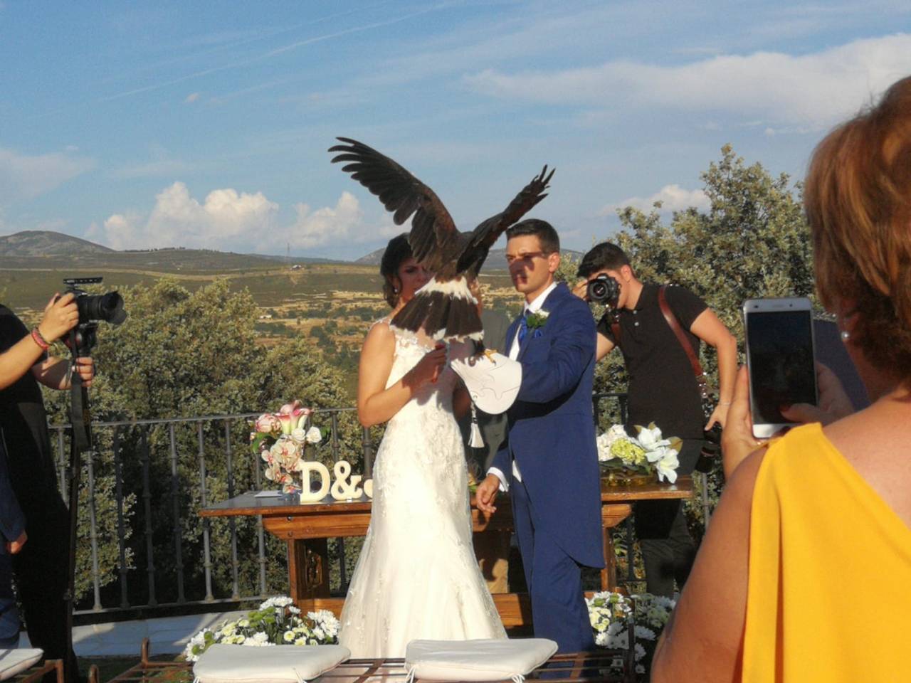 aguila entregando alianzas de novios