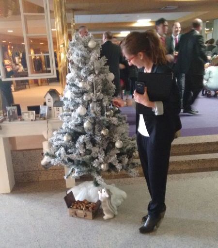 decoraci&oacute;n navide&ntilde;a